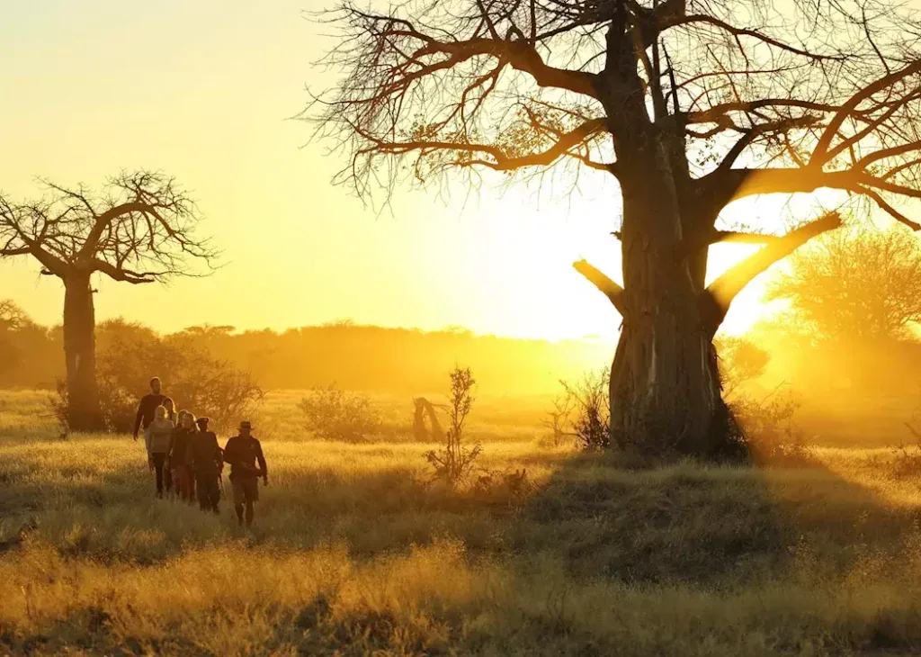 Parco Nazionale di Ruaha