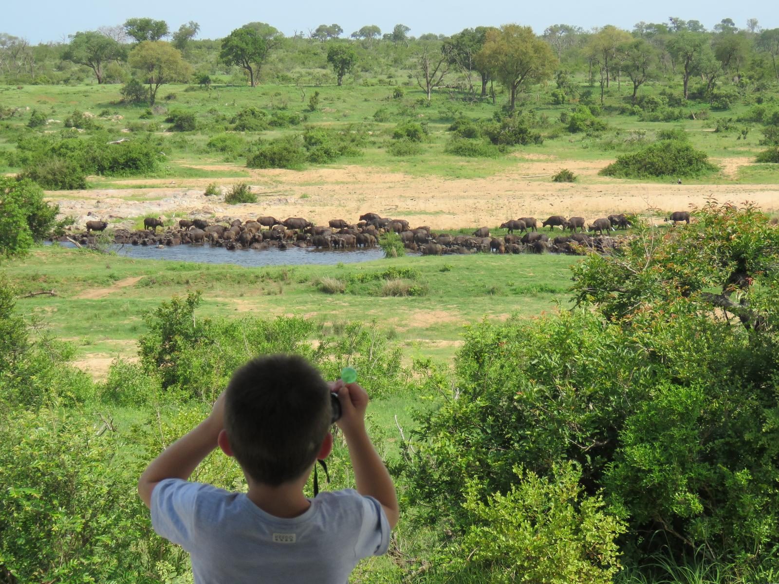 Lake Nakuru & Naivasha Rift Valley Safari