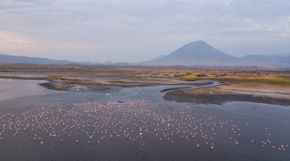 Safari por el Valle del Rift, Lago Nakuru y Naivasha