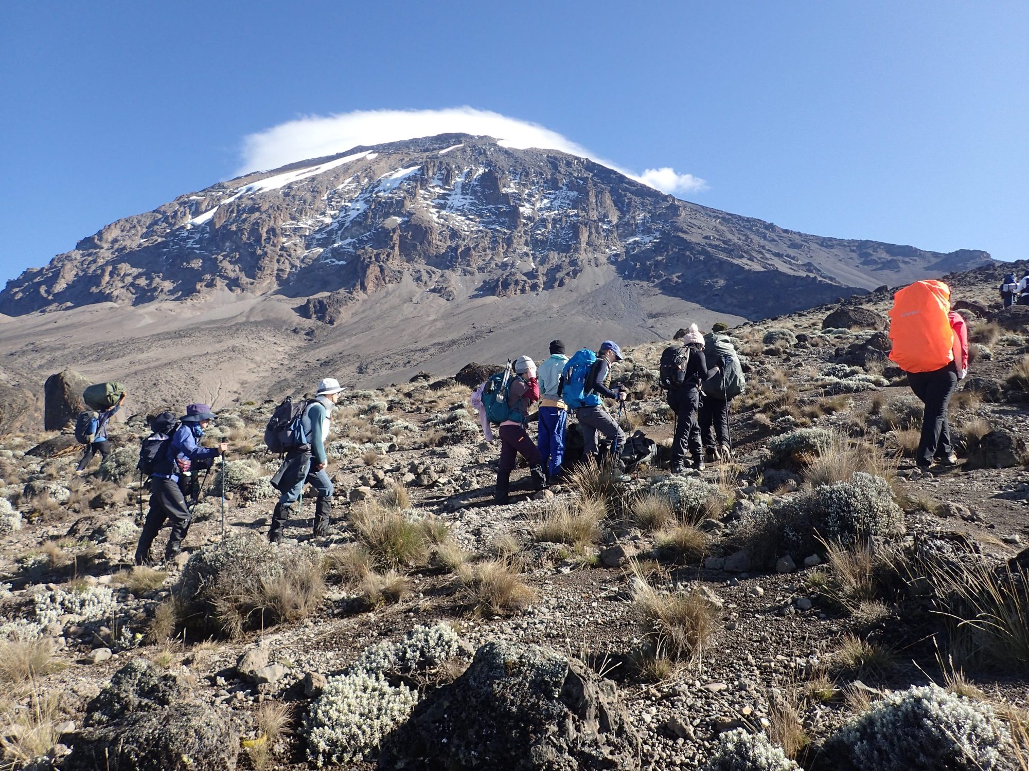 Trekking al Kilimanjaro y Safari de Vida Salvaje de 11 Días por Tanzania