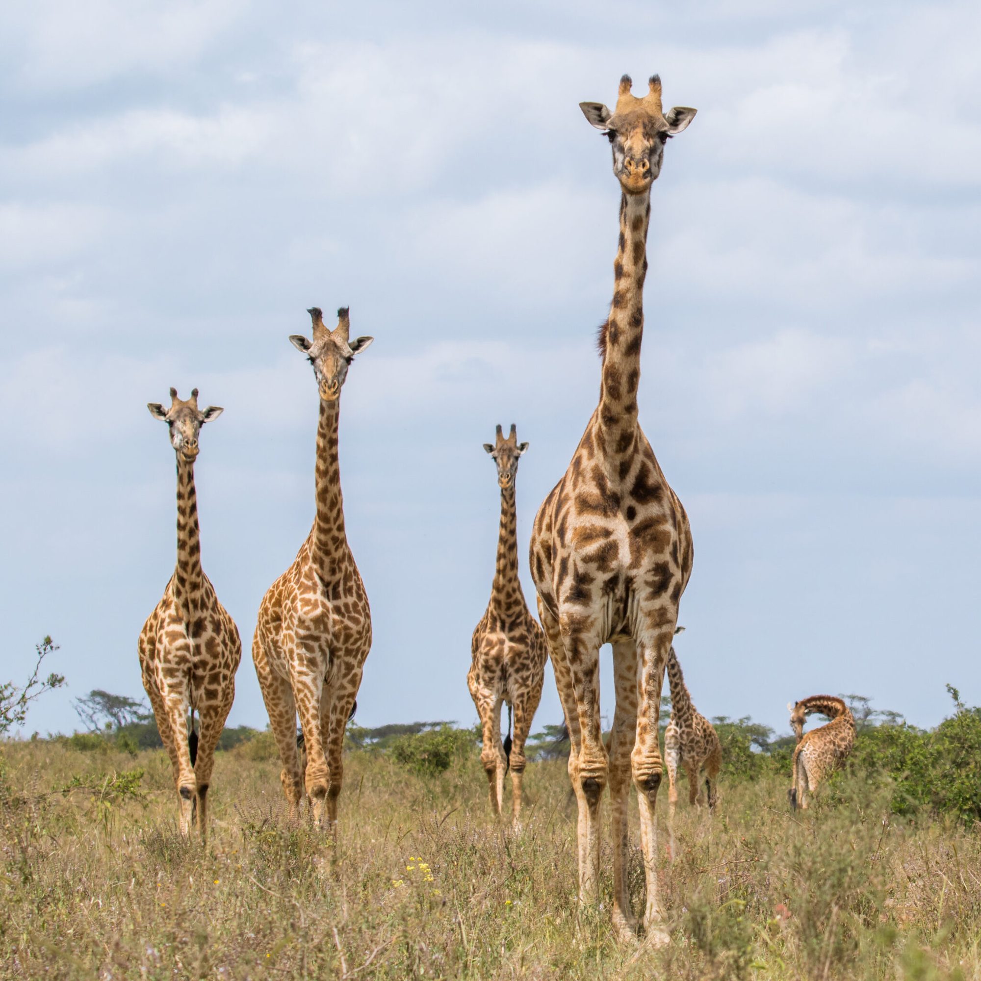 Tarangire National Park