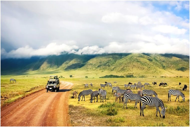 Tour de Safari y Aventura de 3 Días en Tanzania