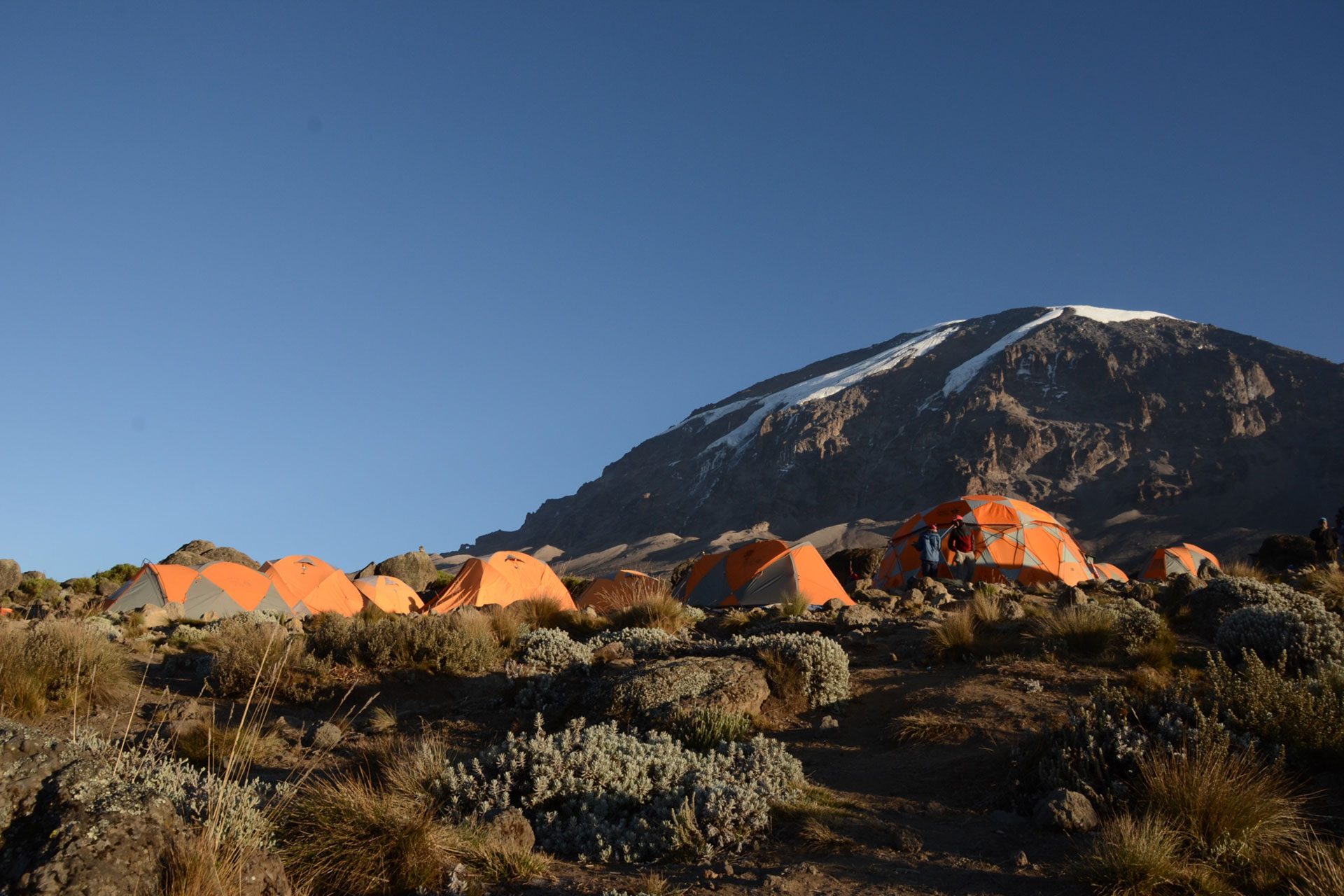 Scala il Kilimanjaro e il Monte Meru