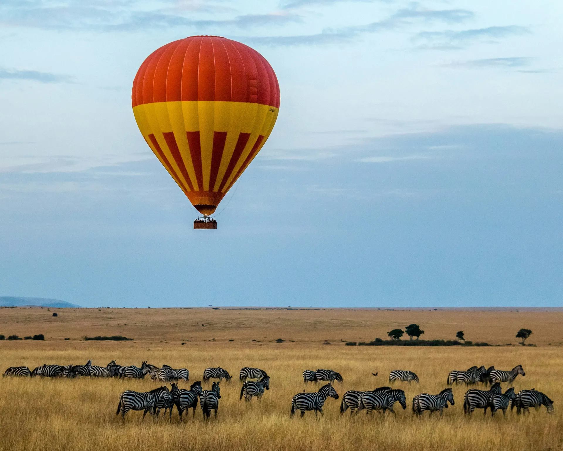 Serengeti